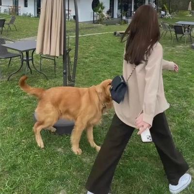 八彩林亚珍粤语
