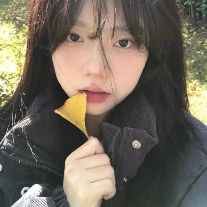 丑小鸭